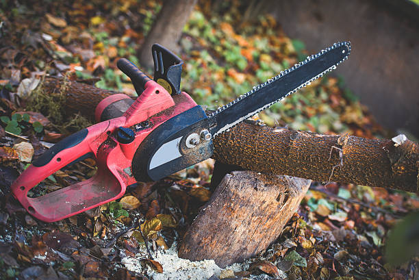 Leaf Removal in Winner, SD